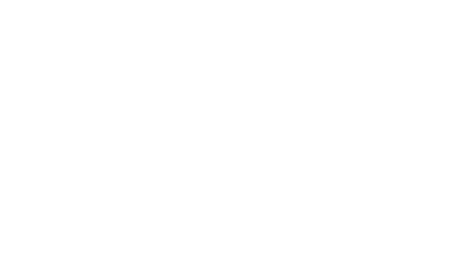 logo youth neet solutions ngo